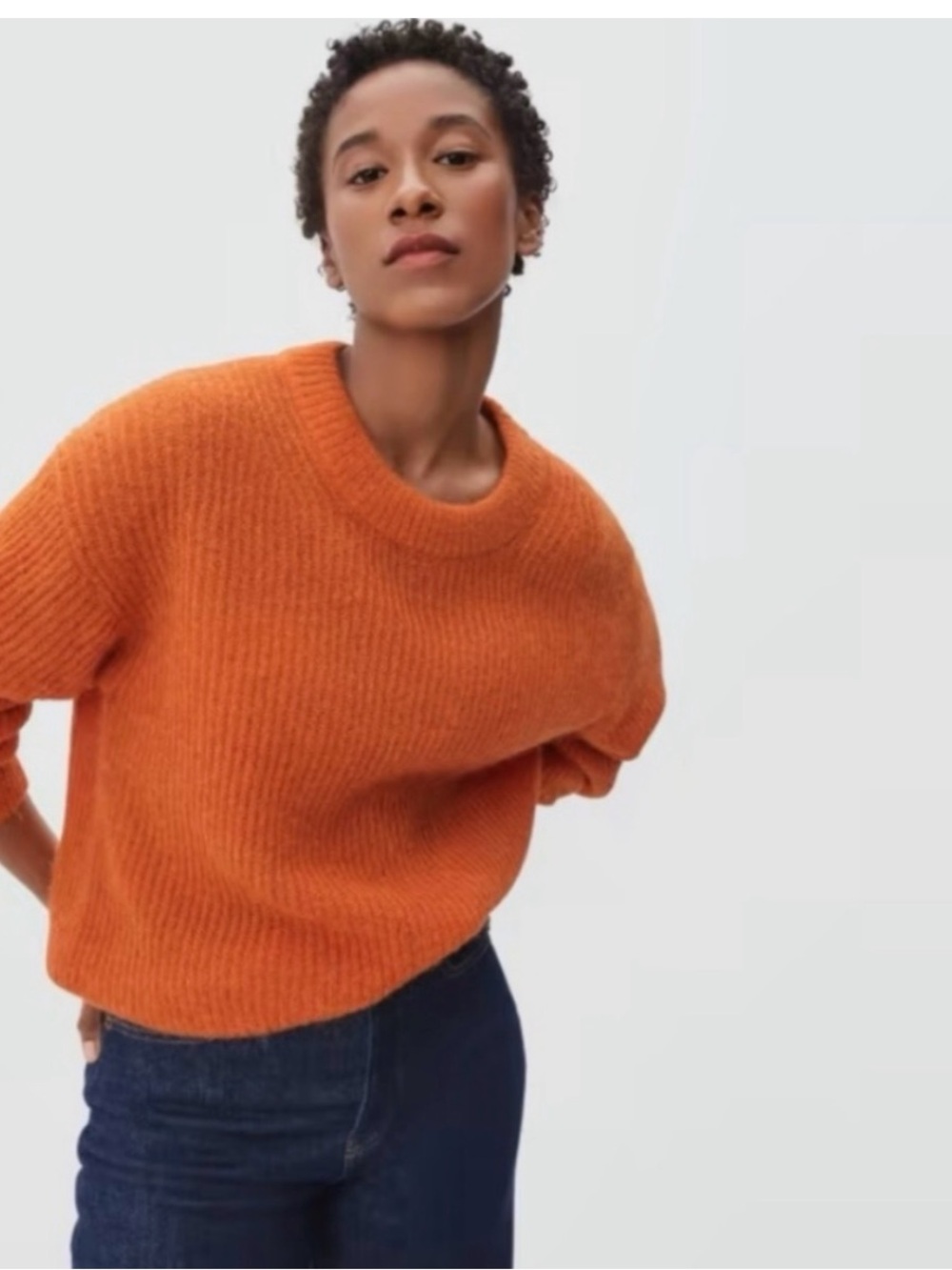 Everlane Alpaca Crew Neck Sweater Persimmon small